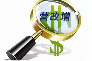 寧波保稅區(qū)眾創(chuàng)空間舉辦營改增后類金融企業(yè)稅收政策專場研討會，助力企業(yè)管理優(yōu)化