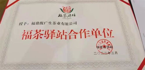 福茶驛站攜手合作企業，借僑優勢揚帆出海，共謀茶業新篇章